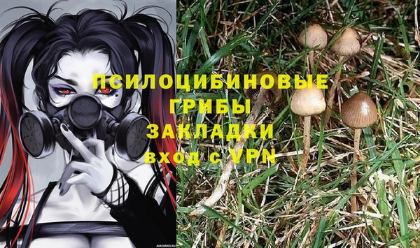 PSILOCYBIN Михайловка