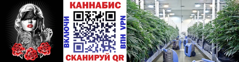 Каннабис Ganja  купить закладку  Кедровый 